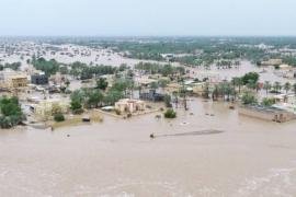 10 ملايين و91 ألف ريال تعويضات للمشاريع الزراعية المتضررة من آثار "شاهين"