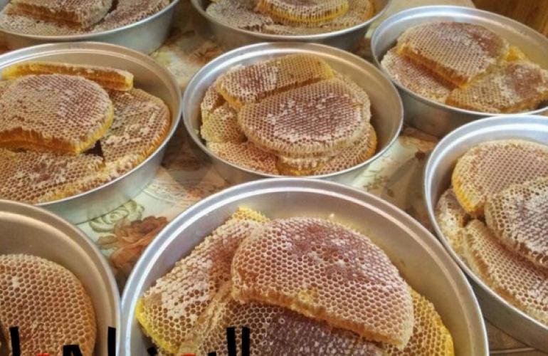 العسل اليمني.. بين الامتداد التاريخي لجودته العالمية والمعوقات التي تقف أمامه