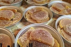 العسل اليمني.. بين الامتداد التاريخي لجودته العالمية والمعوقات التي تقف أمامه