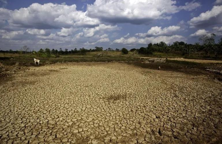 ثلاثة تهديدات تواجه الأمن الغذائي العالمي