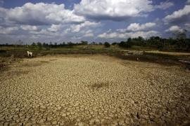 ثلاثة تهديدات تواجه الأمن الغذائي العالمي