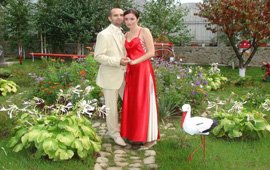 Image Image