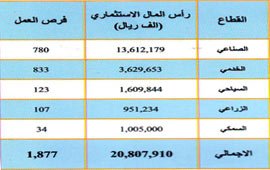 السعودية تتصدر الترتيب من حيث رأس المال 